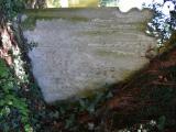 image of grave number 820837